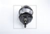 PE Automotive 046.450-00A Spring-loaded Cylinder